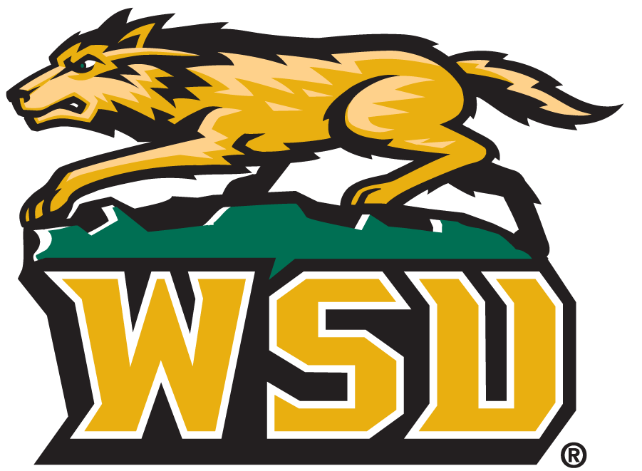 Wright State Raiders 1997-2013 Secondary Logo diy DTF decal sticker